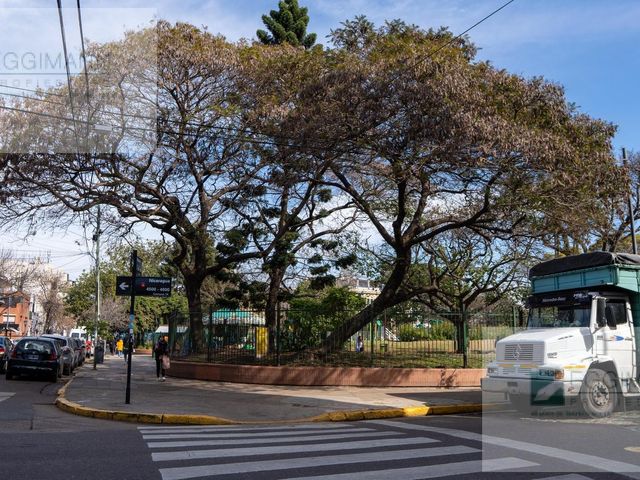 place photo 20