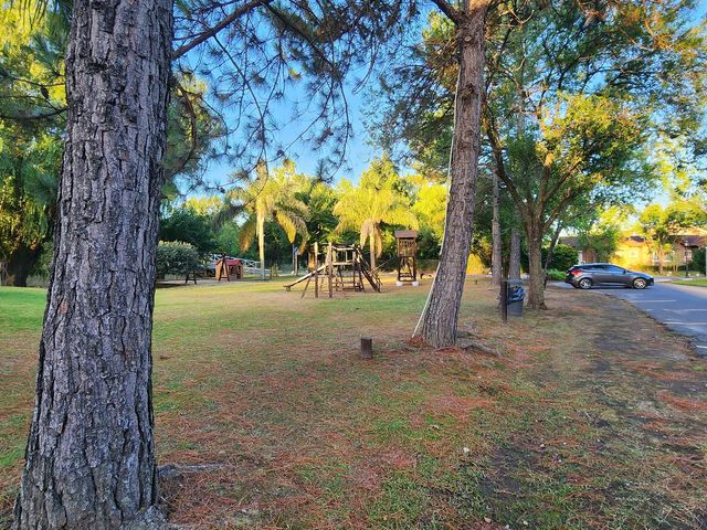 place photo 48
