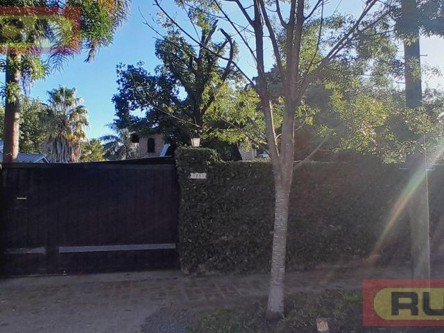 place photo 49