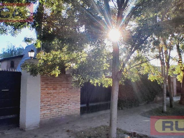 place photo 48