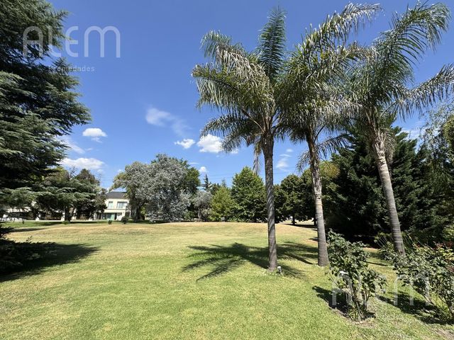 place photo 39