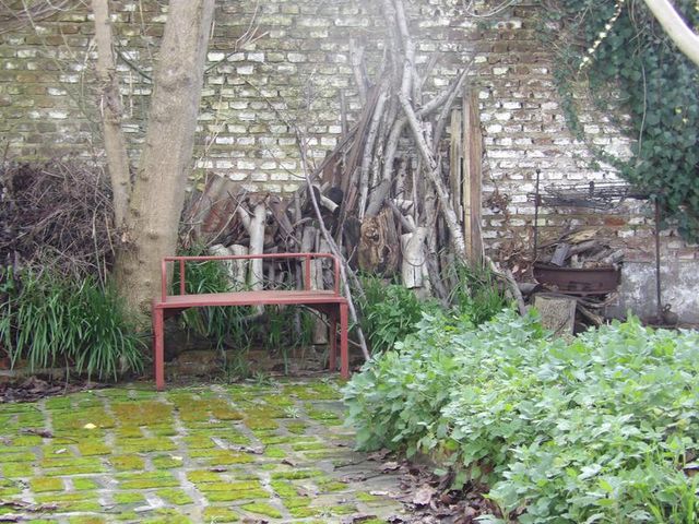place photo 12
