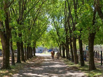 place photo 59