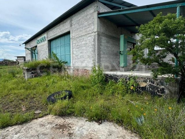 place photo 9