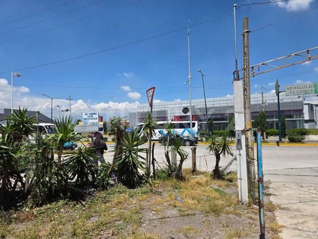 place photo 36
