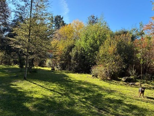 place photo 47