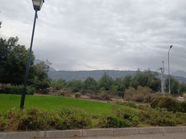 place photo 43