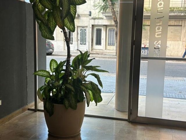 place photo 30