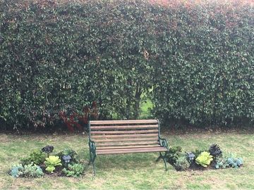 place photo 26