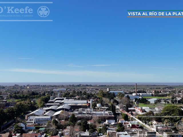 place photo 38
