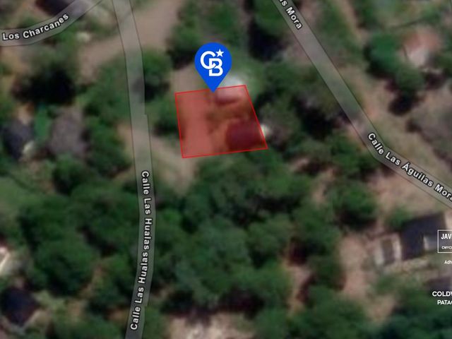 place photo 12