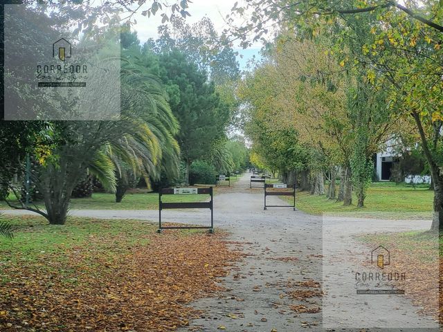 place photo 33