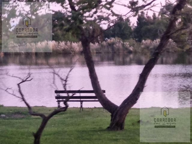 place photo 32