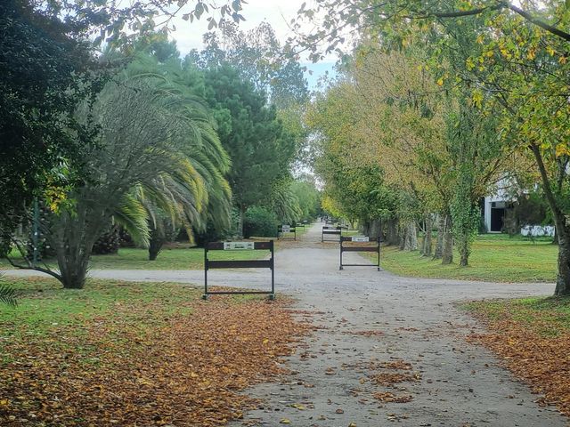 place photo 33