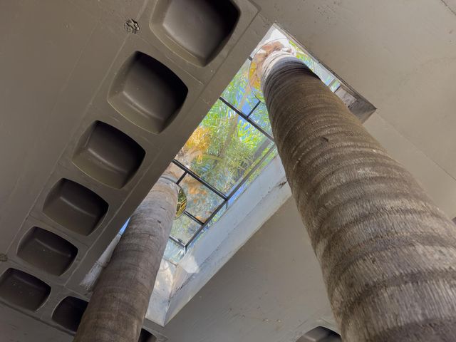 place photo 36