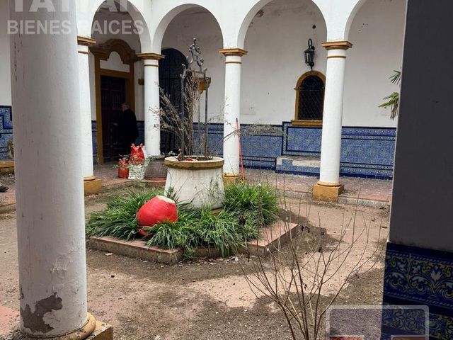 place photo 22