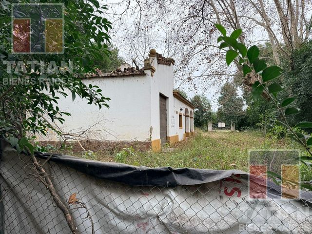 place photo 20