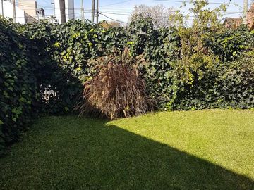 place photo 26