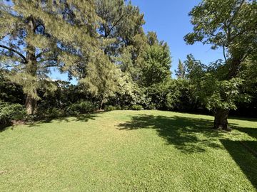 place photo 61