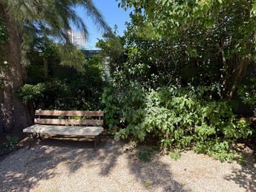 place photo 56