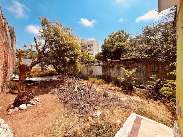 place photo 6