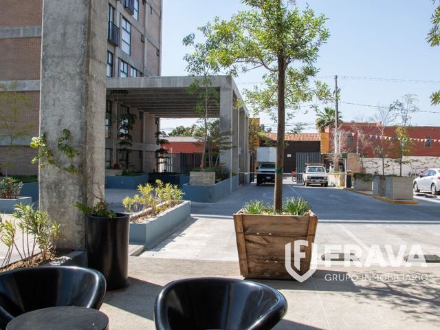 place photo 29