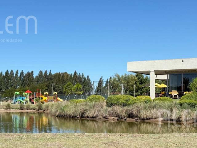 place photo 47
