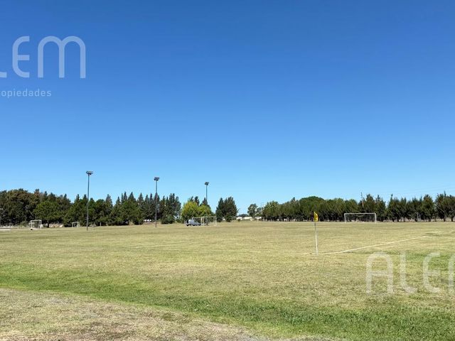 place photo 48