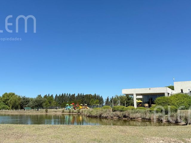place photo 46