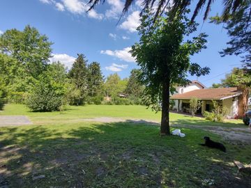 place photo 28