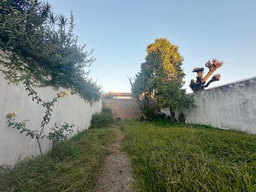 place photo 65