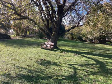 place photo 35