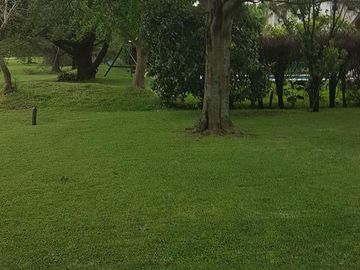 place photo 39