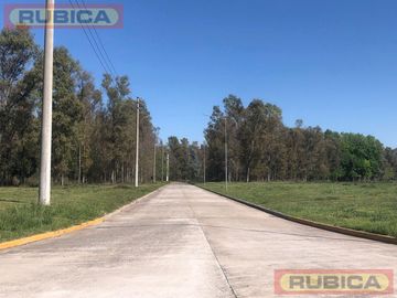 place photo 10