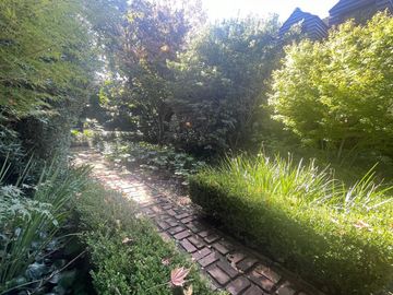 place photo 39