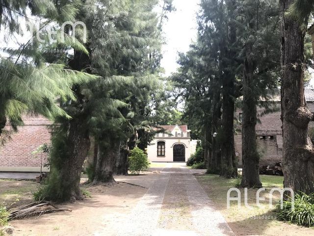 place photo 14