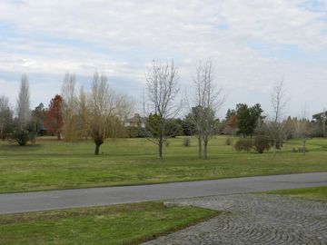 place photo 55