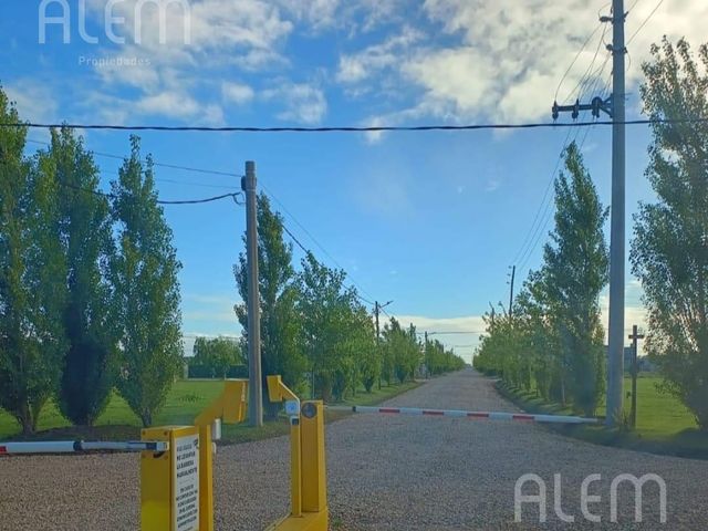 place photo 31