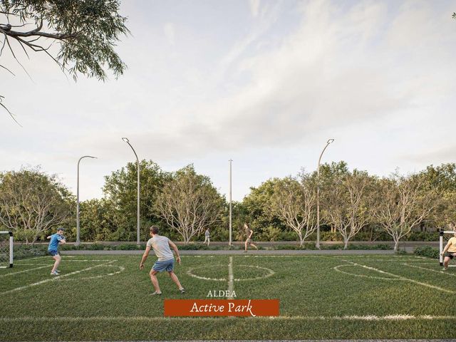 place photo 19