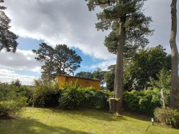 place photo 58