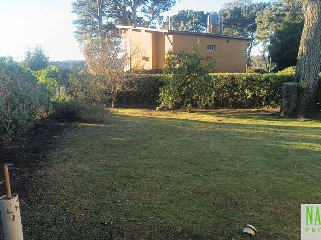 place photo 70