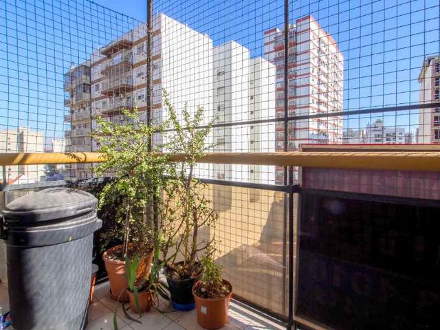place photo 20