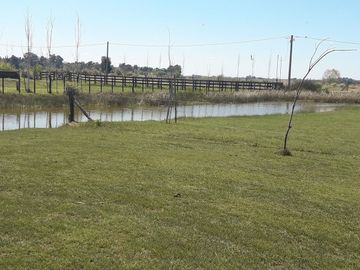place photo 15