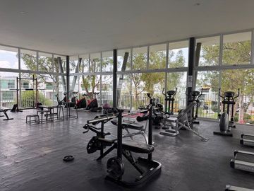 place photo 35