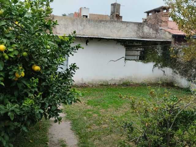 place photo 14