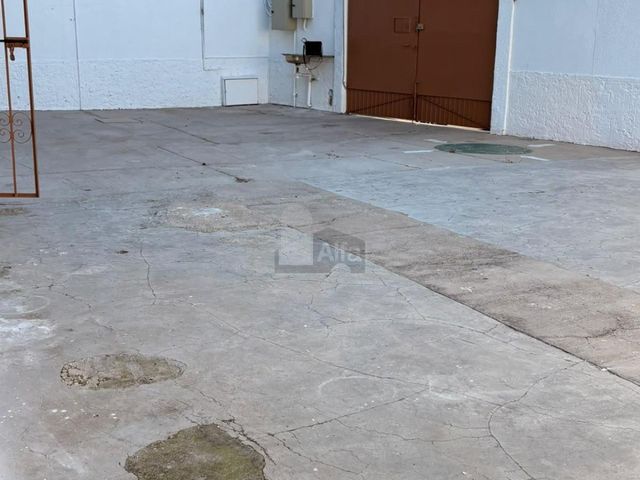 place photo 19