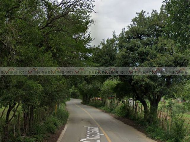 place photo 6