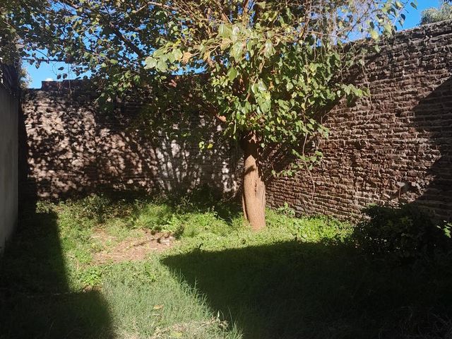 place photo 26