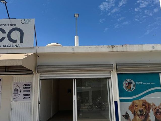 place photo 3