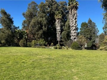 place photo 49